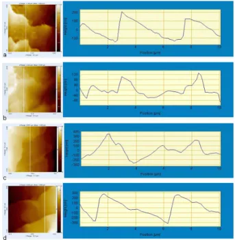 Figure  6.  Line-profile  /  Surface  Roughness  of  virgin  and  bleach  hair  at  10  ㎛ 2   scan  sizes