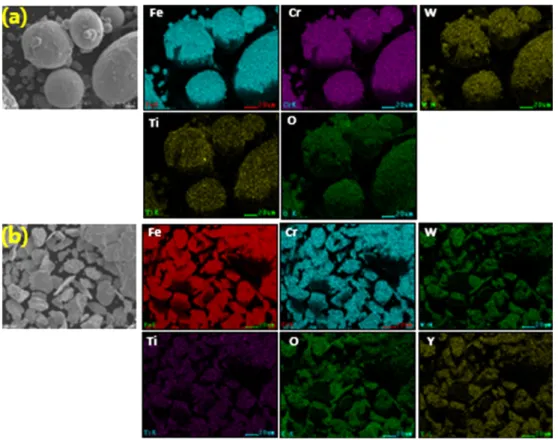 Fig. 1. Initial powder characteristics (a) before mechanical alloying and (b) after mechanical alloying.