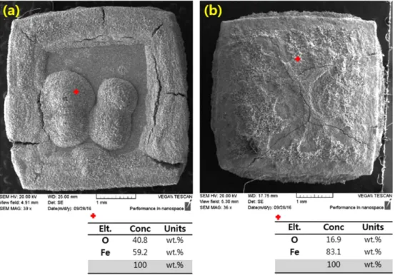 Fig. 8. SEM micrographs of surfaces after oxidation at 1100 o C; (a) as-extruded and (b) heat-treated specimens.