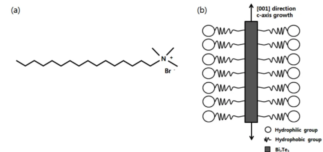 Fig. 3. Preparation of powder using CTAB as a surfactant. (a) CTAB structural formula and (b) formation process of rod- rod-shape particles with hydrophilic and hydrophobic groups.