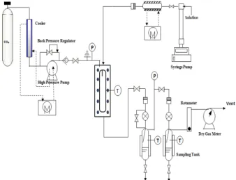 Figure  1.  Schematic  diagram  of  the  ASES  apparatus  used  in  this  study.