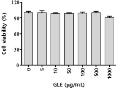 Fig. 1. The effect of GLE on cell viability. LUVA  cells  were  seeded  at  a  density  of  5  ×  10 5 cells  per  well  (96-well  plate)  and  MTT  assay  was  conducted  with  various  concentrations  of  GLE.