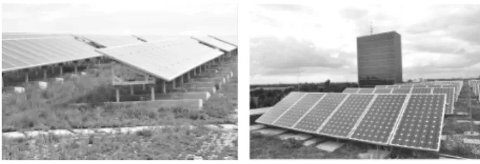 Fig.  14.  Surface  temperature  of  modules  by  thermal  imaging  Photo  (non-green  roof)
