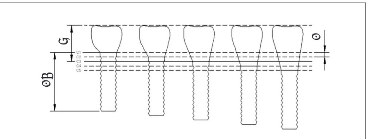 Fig. 1. Apical-coronal implant position. C1 = 2 mm supracrestal implant position; C2 = 1 mm supracrestal implant position; C3 = crest of cortical bone; C4 = 1 mm subcrestal implant position; C5 = 2 mm  subcre-stal implant position.