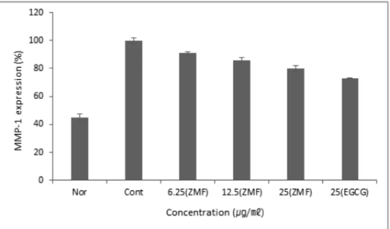 Fig.  6.  MMP-1  inhibition  rate  of  ZMF  on  macrophage  (Raw  264.7).  The  cells  were  treated  with  various  concentrations  of  ZMF  for  48  hours