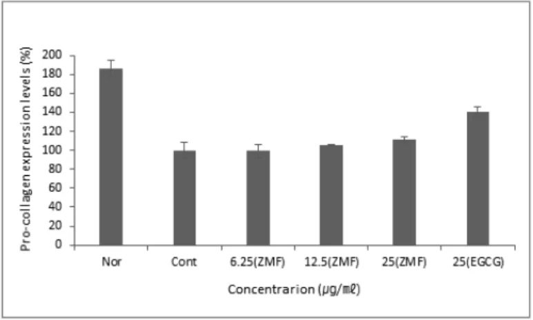 Fig.  7.  Effect  of  ZMF  in  the  expression  of  pro-collagen  synthesis.  Raw  264.7  cells  were  incubated  for  24  hours  in  DMEM  medium  containing  10%  FBS,  were  treated  with  various  concentrations  of  ZMF  for  48  hours