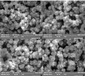 Fig. 1. FE-SEM images of modified porous silicon etched in 1M HCl solution for (a) 1, (b) 5, (c) 10 and (d) 24 h.