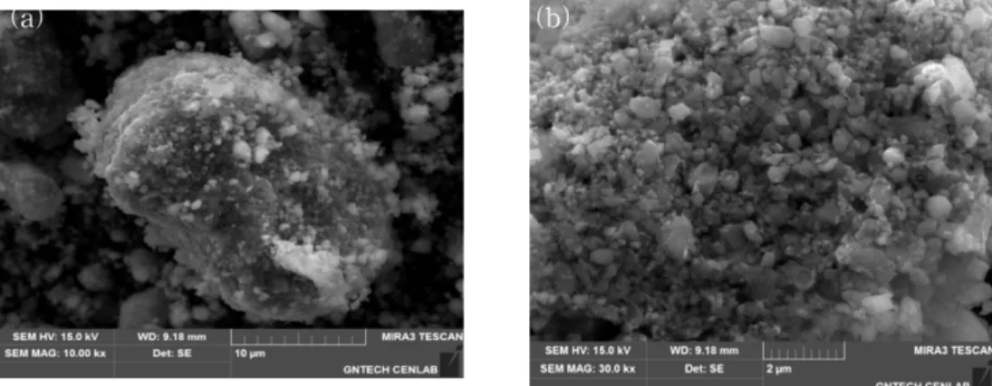 Fig. 3. FE-SEM images of silicon alloy powders etched in 1M HCl solution for 24h. (a)  × 10,000