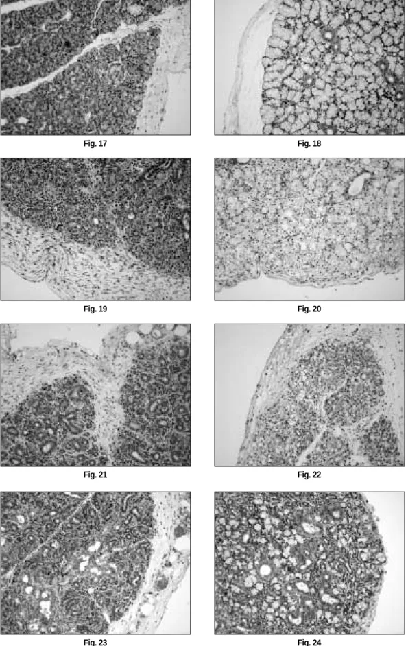 Fig. 21 Fig. 22