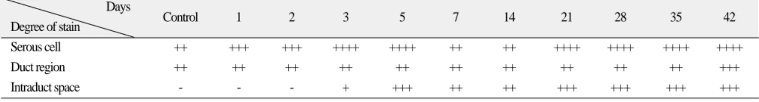 Table 2. Histochemical findings of PAS stain