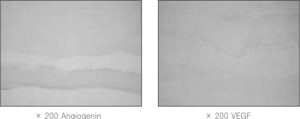 Fig. 13. H&amp;E and MT stainings in the second control group. 
