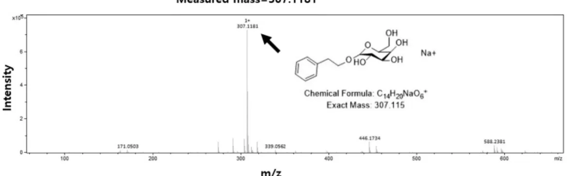 Fig.  5.  Mass  spectrum  of  PhE-gal  using  LC/MS/QTOF.  Arrow  indicates  a  peak  of  sodium  adduct  ion  of  PhE-gal  ([M+Na] + )