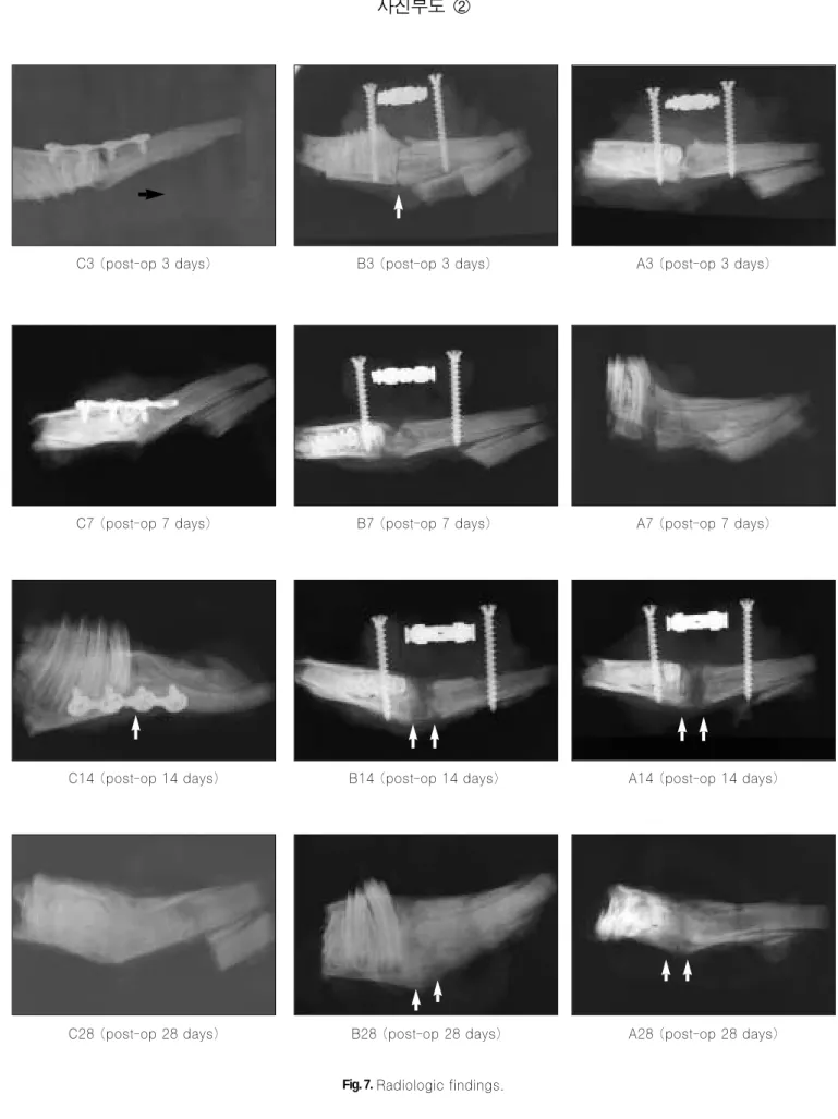 Fig. 7. Radiologic findings.