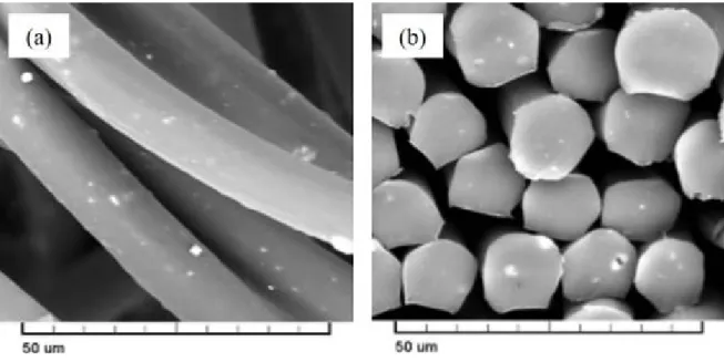 Table  2.  Absorption  speed  and  absorption  rate  of  CM  cotton,  TR, and anti-bacterial CVC  single  jersey