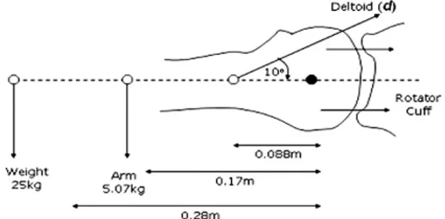 Fig. 10. Free body diagram for calculating deltoid force with the arm bended