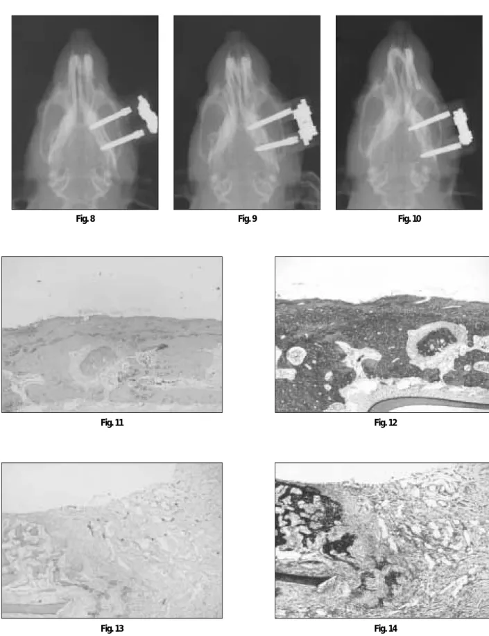 Fig. 8 Fig. 9 Fig. 10