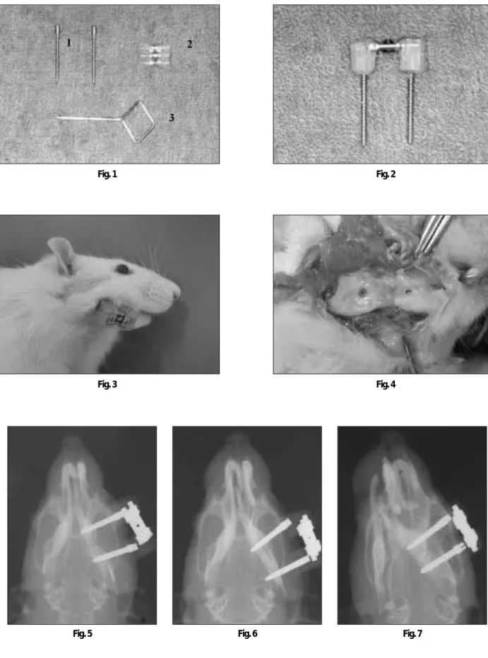 Fig. 5 Fig. 6 Fig. 7