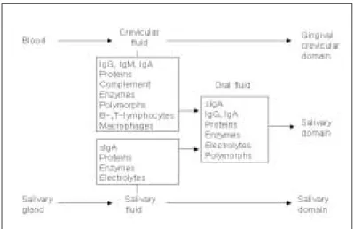 Table 9. Physiologic changes in the elderly.
