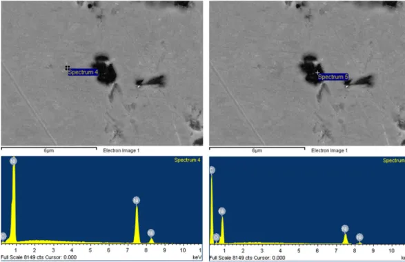 Fig. 5. EDS profiles of the dark region and white region in a Ni-CNTs composite after sintering.
