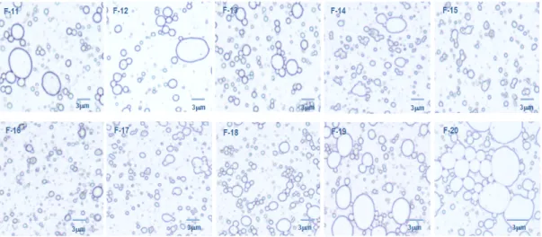 Fig.  10.  Emulsifying  droplets    both  various  tocopheryl  acetate  emulsification  and  increasing  Solubil  EWG-1100  content  observed  by  microscopic  analysis;  (F-11)  0.2  %,  (F-12)  0.3  %,  (F-13)  0.5  %,  (F-14)  0.7  %,  (F-15)  1  %  inc