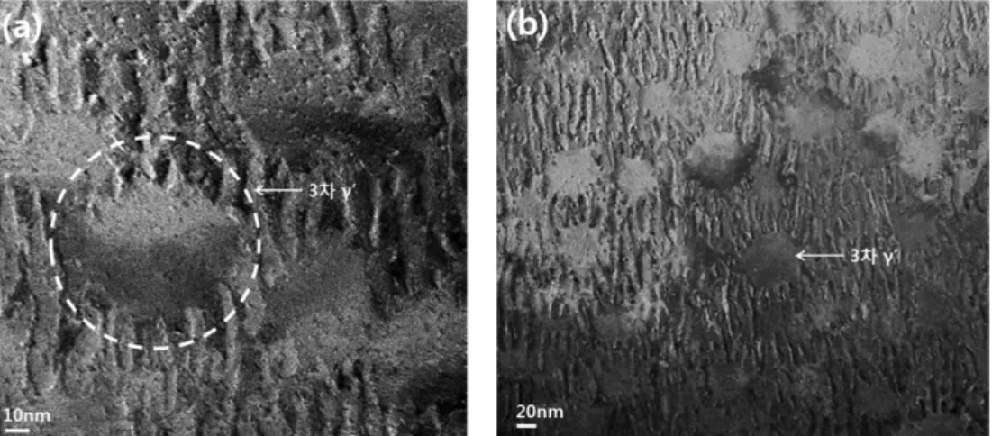 Fig. 2. Microstructure of the Ni superalloy powders as cooling rate after solid solution heat treatment using TEM: (a) salt quenching (x300k), (b) salt quenching (x200k).