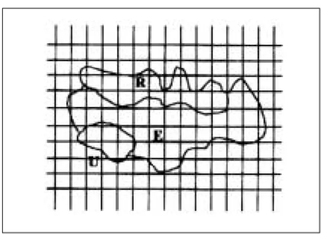 Fig. 1. The grid used in this study.