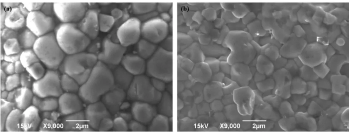 Fig. 9 shows the microstructure of sintered surface with respect to the shaping methods