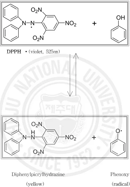 Figure 5. Scavenging of the DPPH radical by phenol