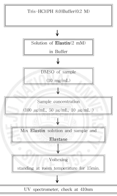 Figure 11. Measurement of Elastase inhibition effect