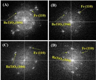Fig. 5. The corresponding FFT patterns of high-resolution TEM images showing the Fig. 4B and 4C; (A) area 1, (B) area 2, (C) area 3 and (D) area 4