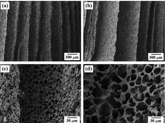 Fig. 5. SEM images of cross section parallel to the camphene growth direction for the sintered Cu-Sn, maintained at -30 o C for (a and c) 1 h and (b and d) 24 h after freezing.