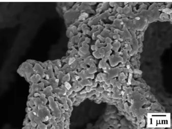 Fig. 7. SEM microstructure and EDX mapping of porous Cu-Sn.