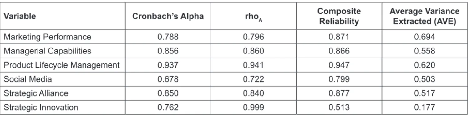 Table 1:  Evaluation of the Measurement Model