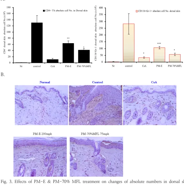 Fig.  3.  Effects  of  PM-E  &amp;  PM-70%  MFL  treatment  on  changes  of  absolute  numbers  in  dorsal  skin  cells  in  NC/Nga  mouse(A)