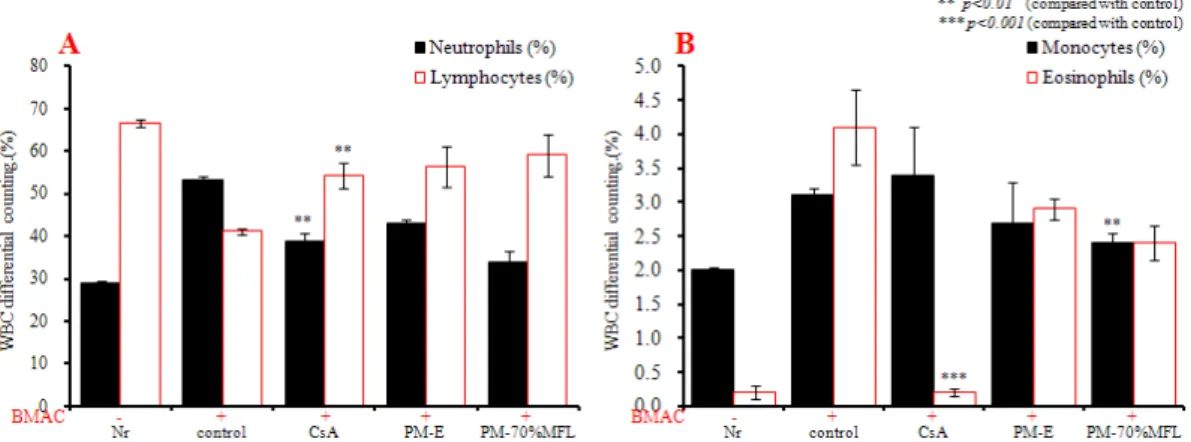 Fig.  4.  WBC  differential  counting  in  atopic  dermatitis  skin  lesions  in  NC/Nga  mouse