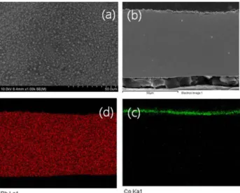 Fig. 6. Mapping of EDS for Co layer annealed at (a) 1100 o C, and 1200 o C (b), and Rh layer annealed at (a') 1100 o C, and (b') 1200 o C for 1h.