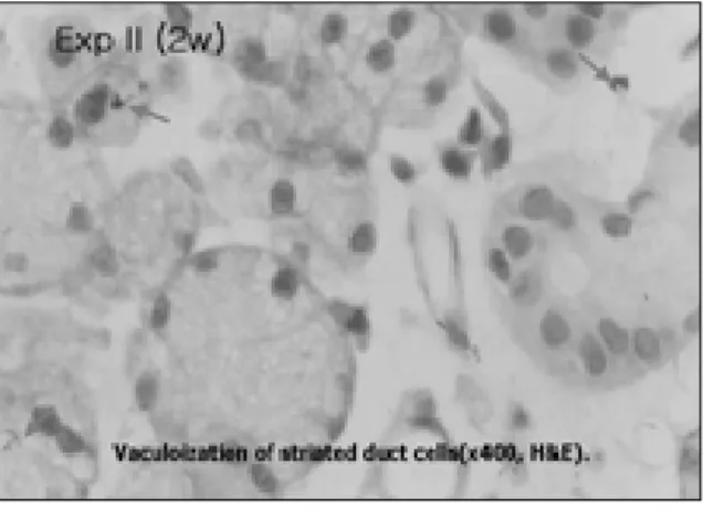 Fig. 15 Fig. 16