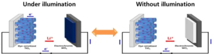 Fig. 2. Illustrations for preparation of transparent photoelectrode composed of TiO 2  nanotube layers.