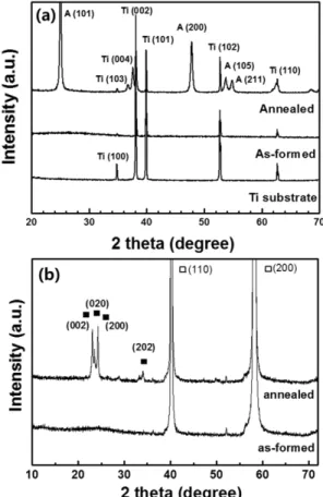 Fig. 3. FE-SEM images of anodized (a)TiO 2  nanotubes and (b)WO 3  nanoporous layers.
