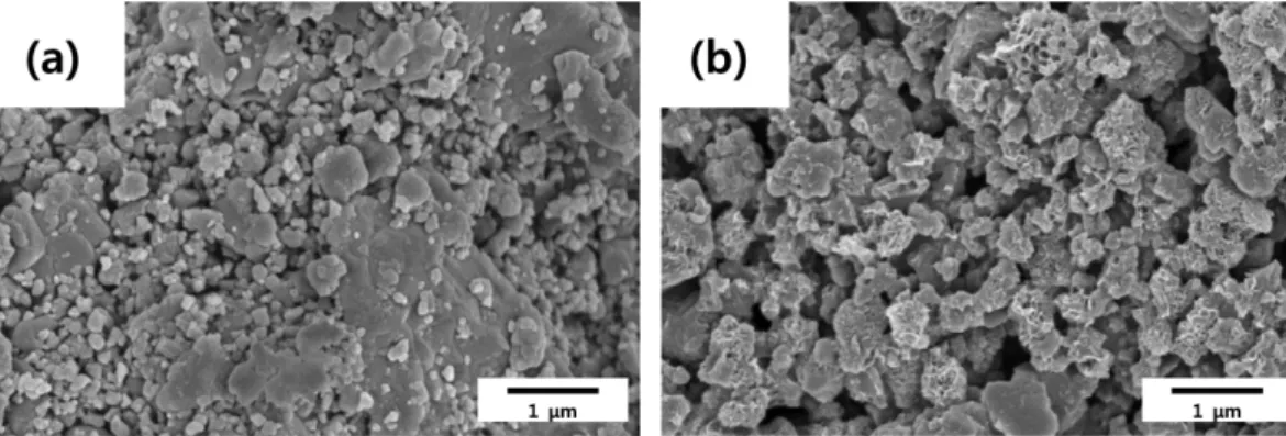 Fig. 2. SEM micrograph of the synthesized MgB 4  powder: (a) before and (b) after HNO 3  leaching.