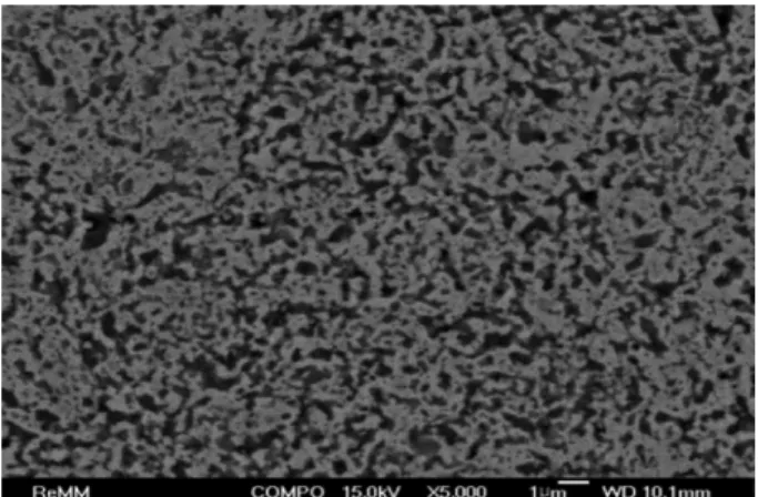 Fig. 5. FE-SEM images of the polished cross-section of Fe-30 wt% TiC powder compact spark-plasma sintered at 1050 o C for 10 min with a pressure of 50 MPa.