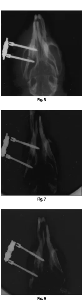 Fig. 5 Fig. 6