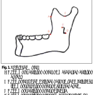 Fig. 1. Reference Point