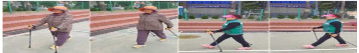Fig  1.  Nordic  Walking  Exercise  Method.