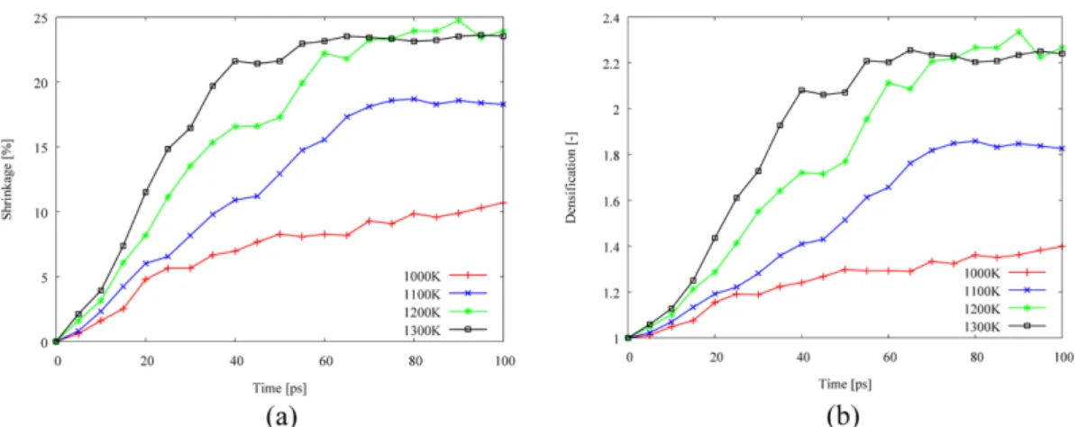 Fig. 7. Effect of powder size on the densification behavior: (a) shrinkage, and (b) densification.