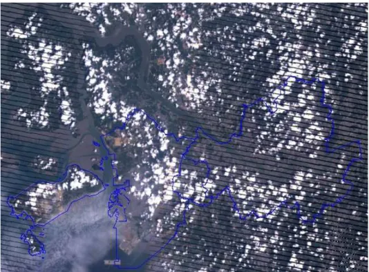 그림  4.  2004년  7월  29일  Landsat-7  ETM+  위성영상 (path  :  116,  row  :  34.  3-2-1  밴드  조합)
