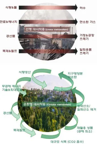 그림 5. 선형적 대사작용(위)과 순환적 대사작용(아래)