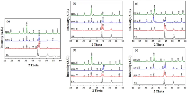 Fig. 6. Microstructures images of respective specimens after different periods of exposure at 1000 o C in air.
