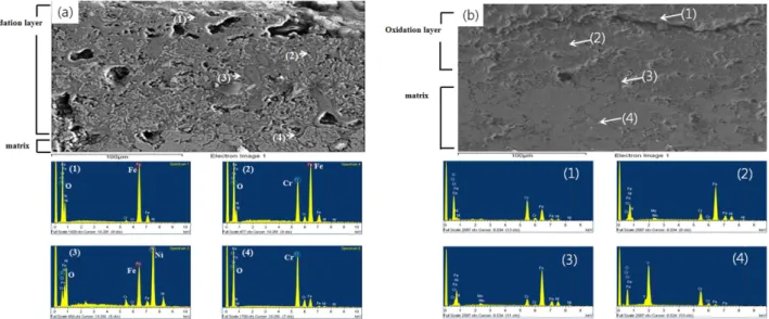 Fig. 7. EDS mapping results of respective specimens after 210 hr exposure at 1000 o C in air: (a) STS 316L and (b) STS/Y 2 O 3 - -3vol.%.