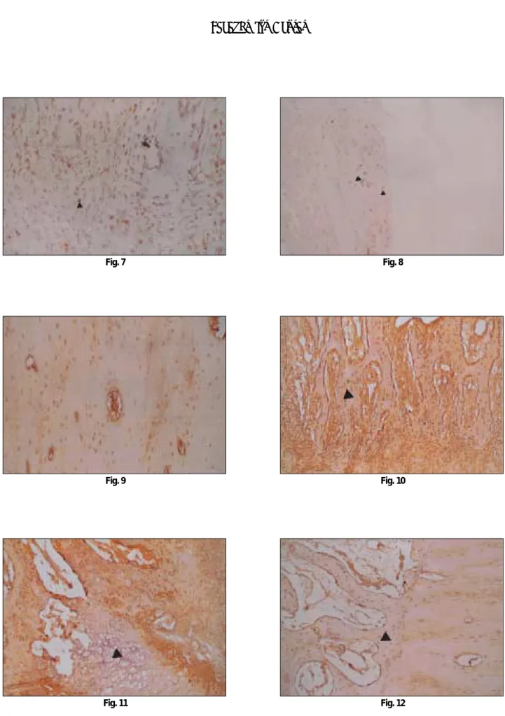 Fig. 7 Fig. 8
